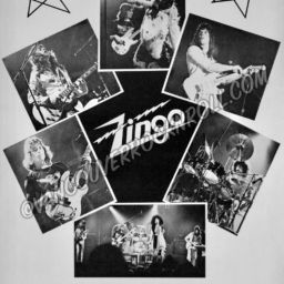 ZINGO – Band Poster